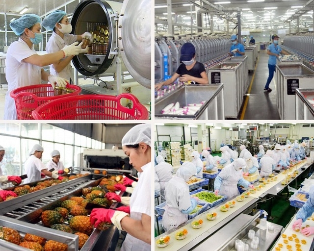 Công việc chế biến thực phẩm tại các siêu thị không yêu cầu bằng cấp 3 và trình độ tay nghề