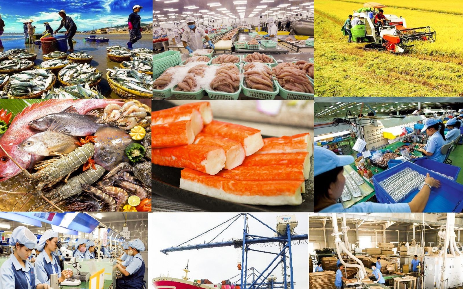 xuất khẩu lao động nhật bản lương bao nhiêu